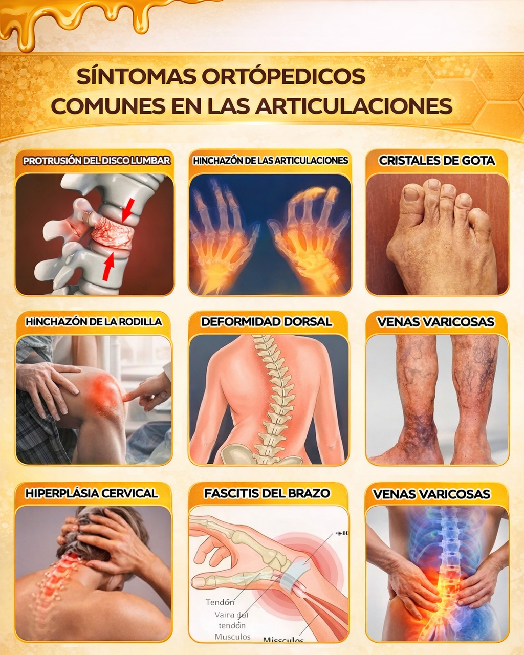 https://cdn.dropmagic.ai/medias/485c4af2-a31a-4823-beeb-89b79679cf03.webp
