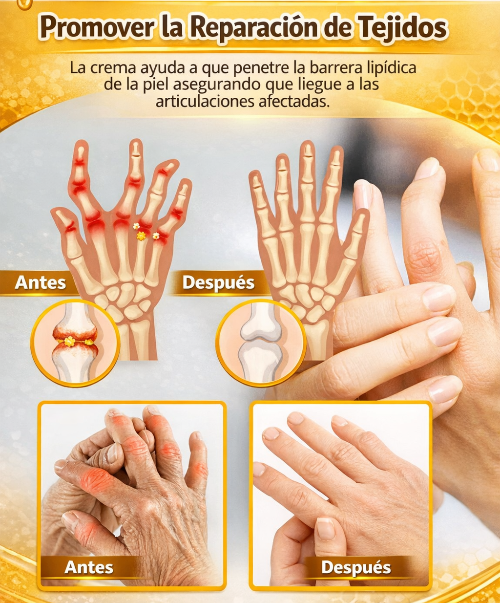 https://cdn.dropmagic.ai/medias/fb8c96f4-f19b-493a-b19c-b8b0c740a683.webp